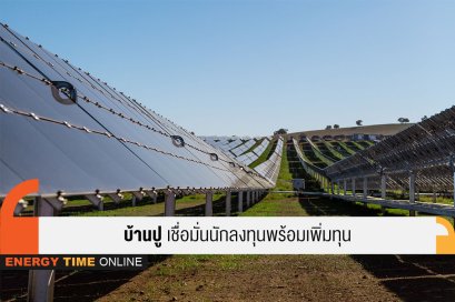 บริษัท บ้านปู จำกัด (มหาชน)