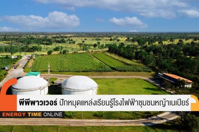 พลาสม่า เพียวริตี้ พาวเวอร์ จำกัด