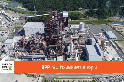 บ้านปู เพาเวอร์ จำกัด (มหาชน)