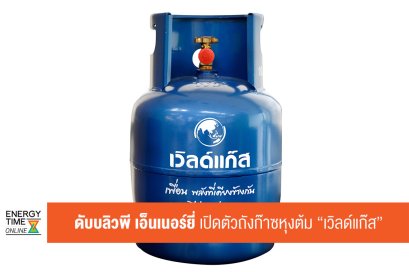 ดับบลิวพี เอ็นเนอร์ยี่ จำกัด (มหาชน)