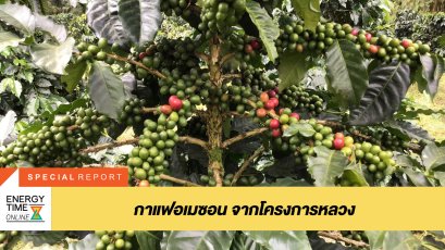 ปตท. น้ำมันและการค้าปลีก จำกัด (มหาชน)