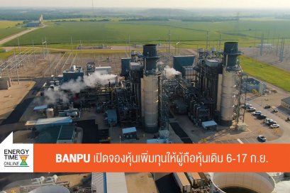 บ้านปู จำกัด (มหาชน)