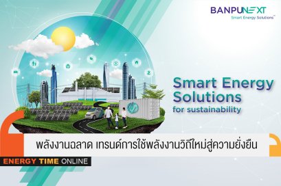 บ้านปู เน็กซ์ จำกัด