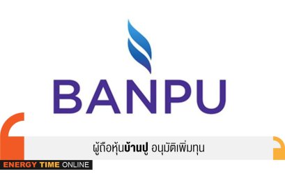 บ้านปู จํากัด (มหาชน)