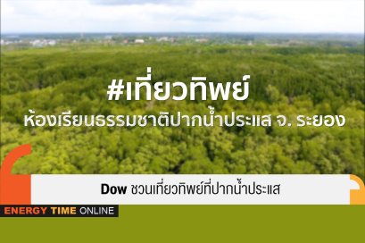 ดาว ประเทศไทย