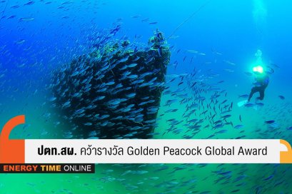 ปตท.สำรวจและผลิตปิโตรเลียม จำกัด (มหาชน)