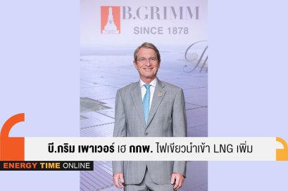 บี.กริม เพาเวอร์ จำกัด (มหาชน)