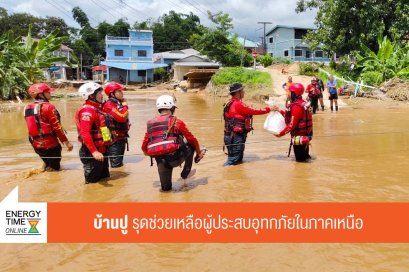 บ้านปู จำกัด (มหาชน)