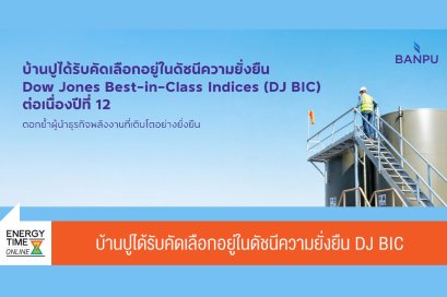 บริษัท บ้านปู จำกัด (มหาชน)