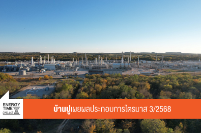 บริษัท บ้านปู จำกัด (มหาชน)