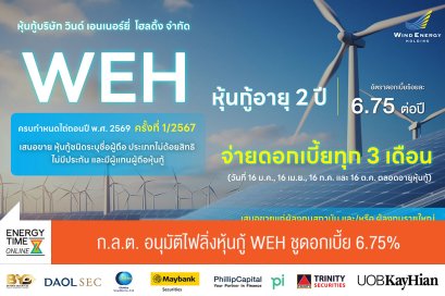 วินด์ เอนเนอร์ยี่ โฮลดิ้ง จำกัด