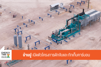 บริษัท บ้านปู จำกัด (มหาชน)