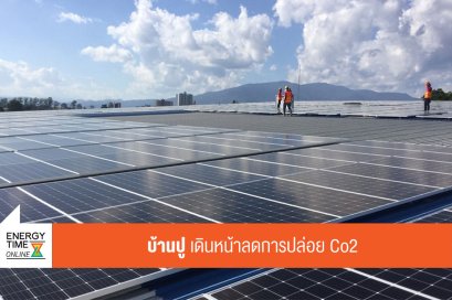 บ้านปู จำกัด (มหาชน)