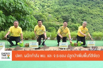 ปตท. จำกัด (มหาชน)