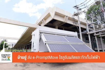 บ้านปู จำกัด (มหาชน)