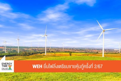 วินด์ เอนเนอร์ยี่ โฮลดิ้ง จำกัด