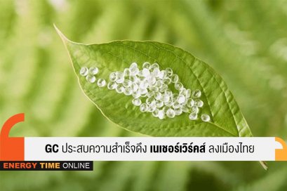 พีทีที โกลบอล เคมิคอล จำกัด (มหาชน)