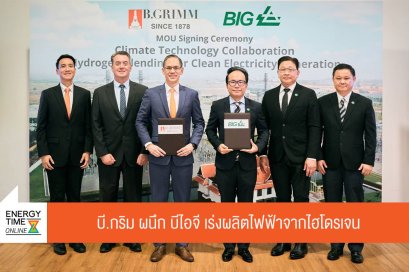 บี.กริม เพาเวอร์ จำกัด (มหาชน)