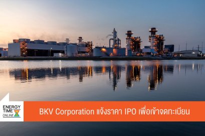 บ้านปู จำกัด (มหาชน)