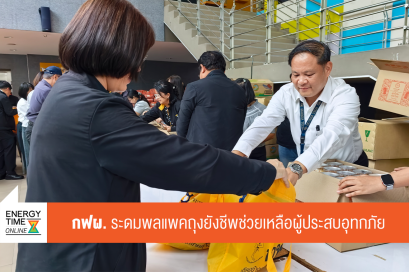 การไฟฟ้าฝ่ายผลิตแห่งประเทศไทย
