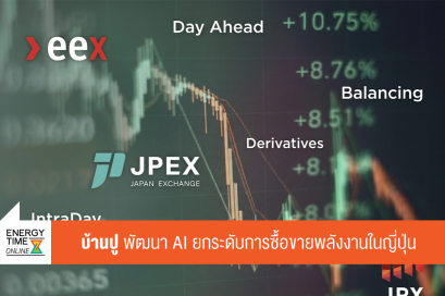 บริษัท บ้านปู จำกัด (มหาชน)