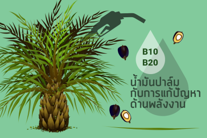 น้ำมันปาล์ม กับการแก้ปัญหาด้านพลังงาน