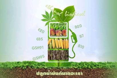 ปตท.ปลูกน้ำมันบนดิน