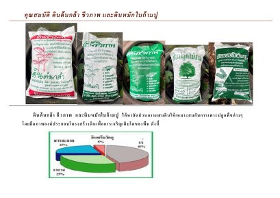 คุณสมบัติ และวิธีการใช้งานดินผสมพร้อมปลูก