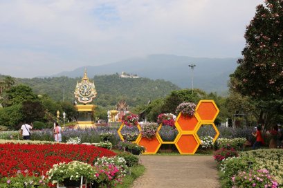 ชวนเที่ยวเทศกาลชมสวน 2566  “แอ่วสุขใจ I wanna be (e)” ณ อุทยานหลวงราชพฤกษ์ จังหวัดเชียงใหม่