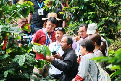 จากแรงบันดาลใจ  สู่เป้าหมาย Royal Coffee  BCG to SDGs  กาแฟไทย...กับความยั่งยืนที่ดื่มได้จริง 
