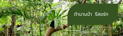ตำนานป่ารีสอร์ท