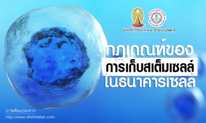 สเต็มเซลล์(เซลล์ต้นกำเนิด) นิยามสเต็มเซลล์และกฏเกณฑ์ของการเก็บสเต็มเซลล์