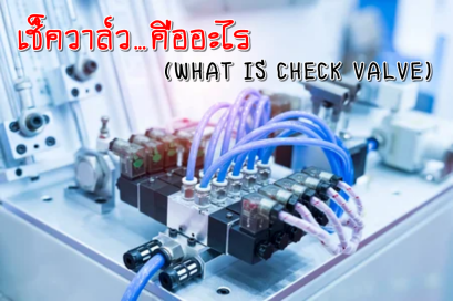 เช็ควาล์ว…คืออะไร (What is Check Valve?)