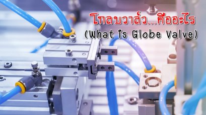 โกลบวาล์ว…คืออะไร (What is Globe Valve?)