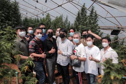 ALPHAX ต้อนรับสื่อมวลชน เยี่ยมชมไร่กัญชง MJB Farm 
