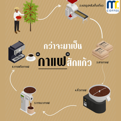 กว่าจะมาเป็นกาเเฟสักเเก้วต้องผ่านกี่ขั้นตอน