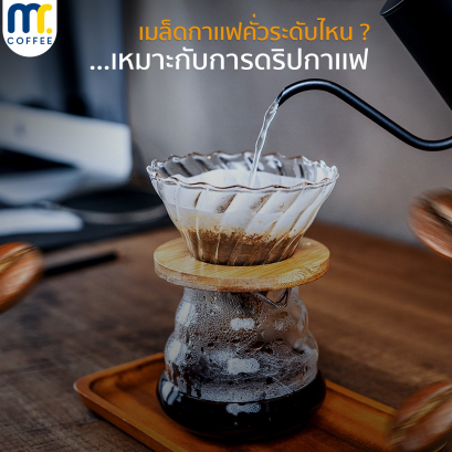 เมล็ดกาเเฟคั่วระดับไหนเหมาะกับการกาเเฟดริป