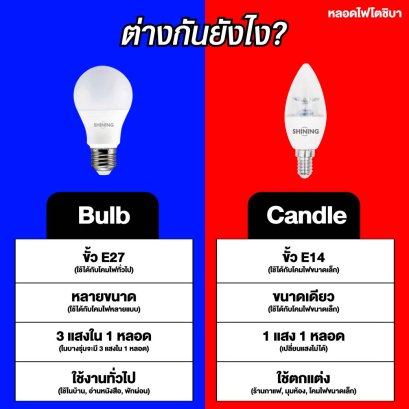 LED Bulb และ LED Candle ต่างกันยังไง?