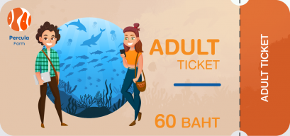 Adult Ticket