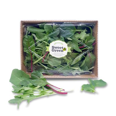 สลัดเอเชี่ยนมิกซ์ Asian Salad Mix (Baby Spinach+Rocket+Sorrel)
