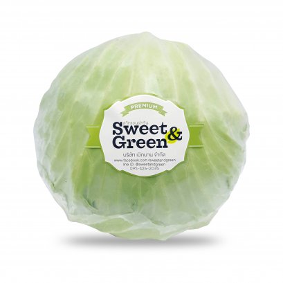 Cabbage กำหล่ำปลี