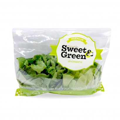 salad vegetable baby cos and butter head