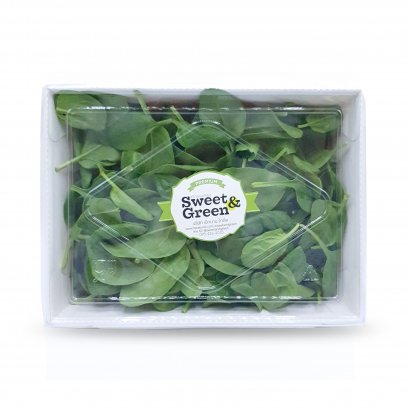 baby spinach เบบี้สปิแนช