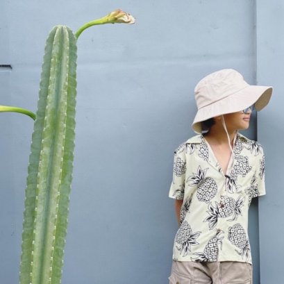 เสื้อฮาวาย เสื้อเด็ก เสื้อครอบครัว เด็ก&amp;ผู้ใหญ่ Hawaiian aloha Shirts (สับปะรด+เหลือง)