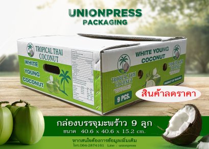 กล่องมะพร้าว 9 ลูก ไซส์ M (ครบชุดพร้อมไส้ใน)