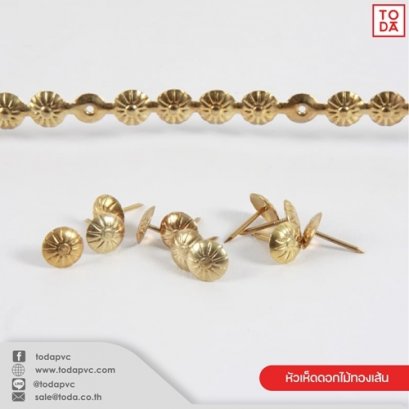 Golden flower mushroom head