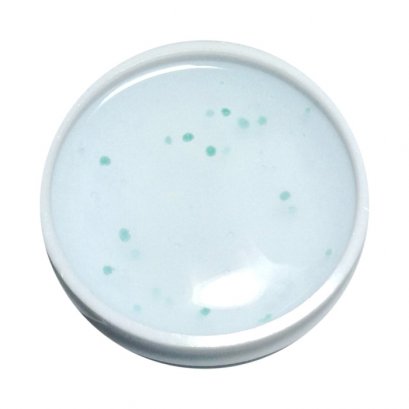 Skin Recovery Serum เซรั่มปรับสภาพผิวเสีย