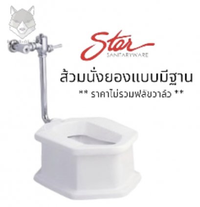 S-5981 ส้วมนั่งยอง มีฐาน แบบใช้ฟลัช สีขาว - Star Sanitaryware