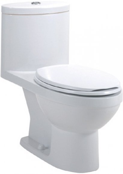 TF-2419 สุขภัณฑ์ แบบชิ้นเดียว 6 ลิตร รุ่น RICO-C สีขาว - American Standard