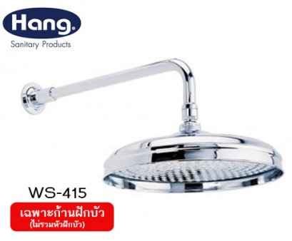 WS-415 ก้านฝักบัว ก้านแข็ง 25 cm.  - HANG